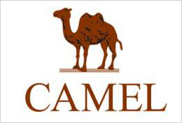 美科合作伙伴：骆驼CAMEL